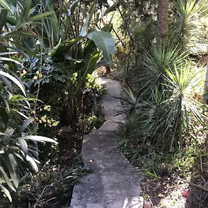 https://casa-simba-estepona.es-andalucia.com